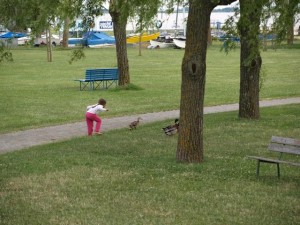 K640 2011 Beachturnier (45)