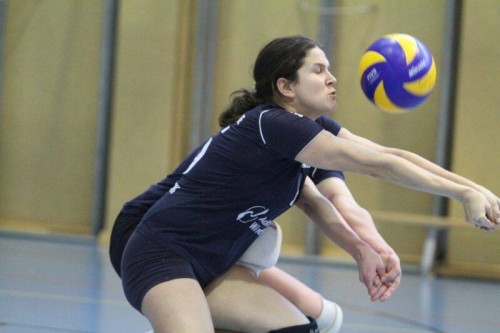 2014 Internationales Neusiedler Volleyballturnier
